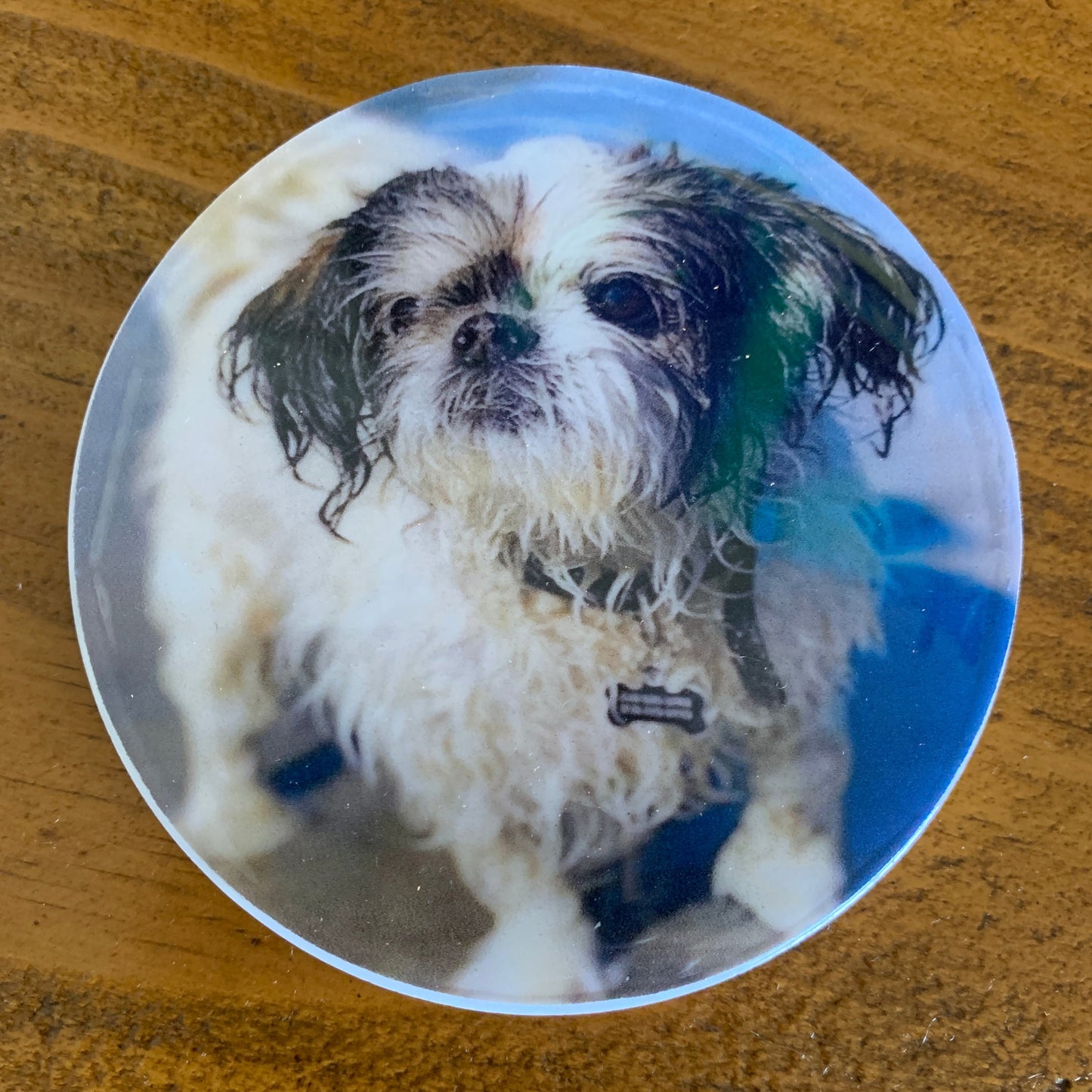 Coasters, Custom w/Photos