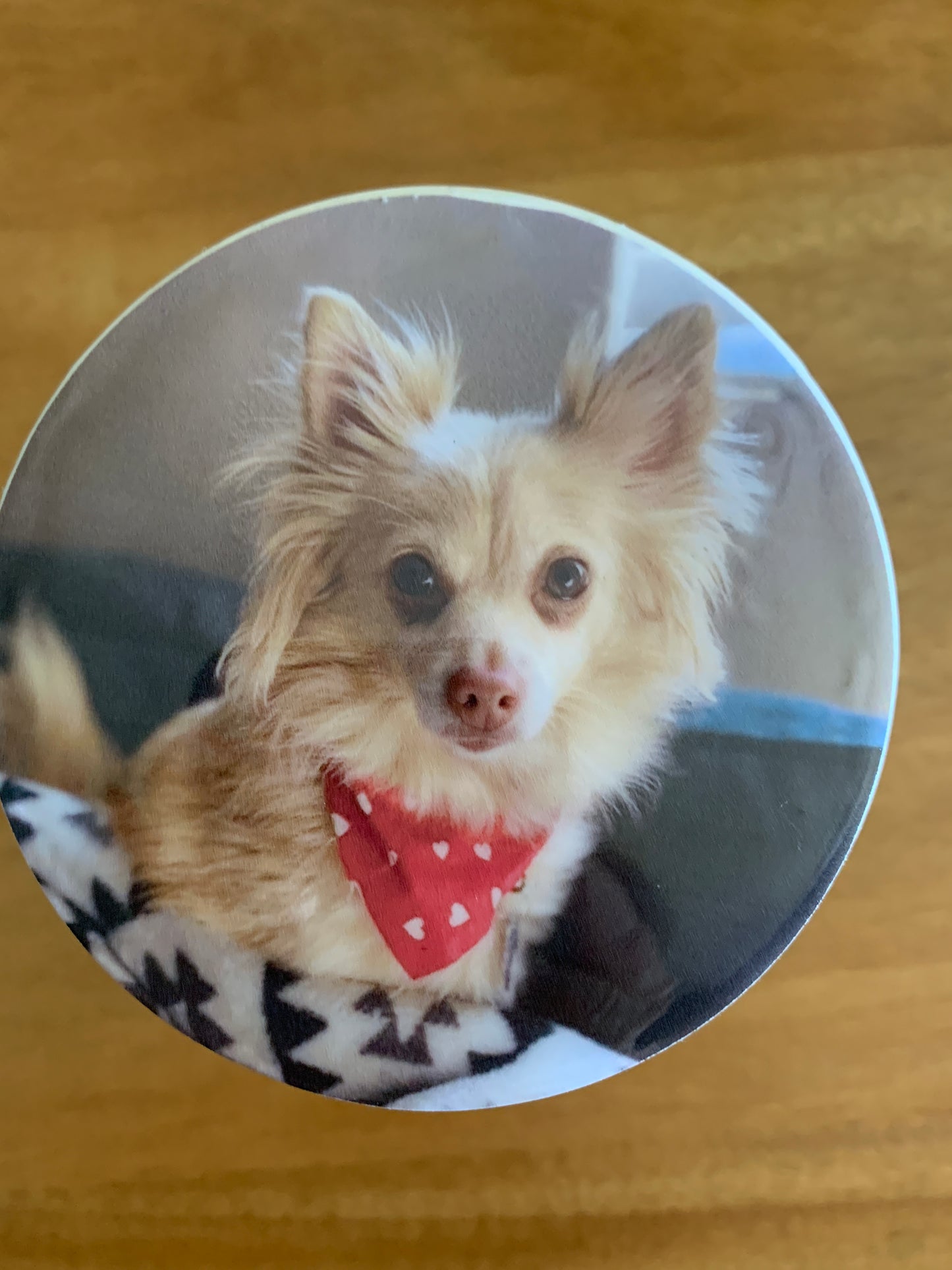 Coasters, Custom w/Photos