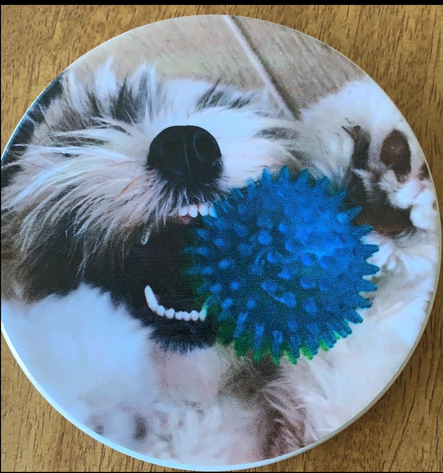 Coasters, Custom w/Photos