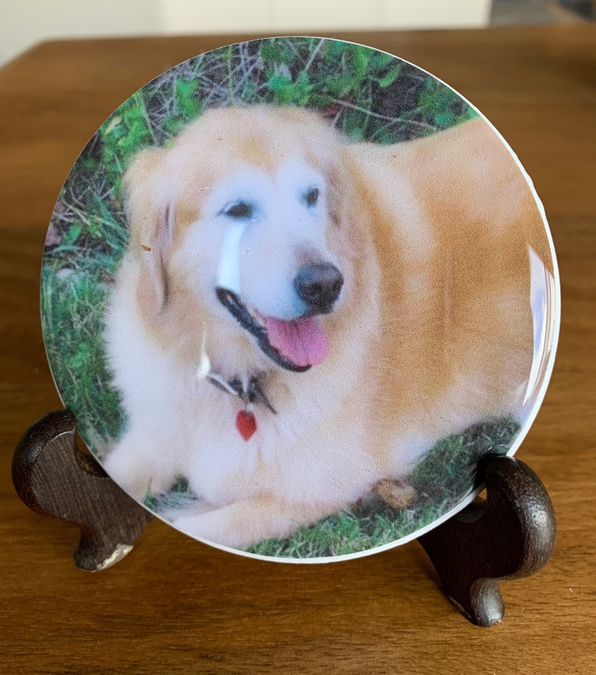 This beauty has gone over the bridge but the loss is easier when her owner has a coaster of her image on her coffee table.  